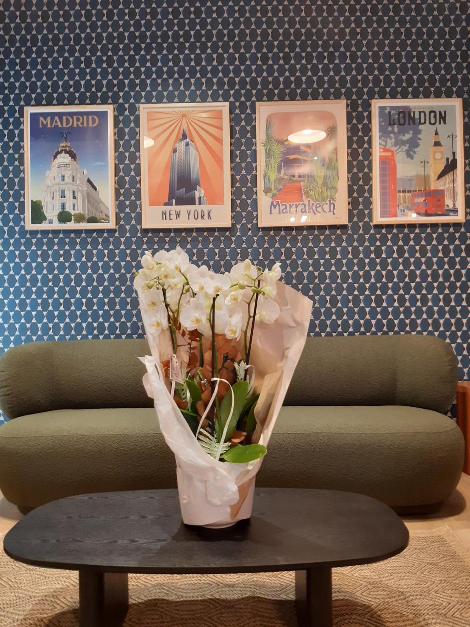 Kyriad - Ester Hotel 3*